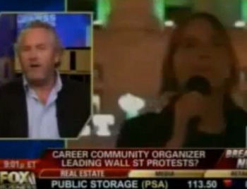 occupy wall street career community organizers revealed