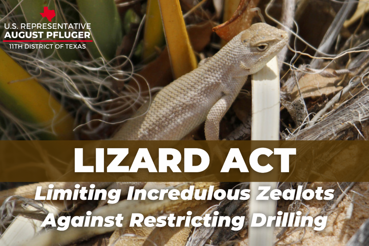 Lizard Act