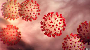 coronavirus