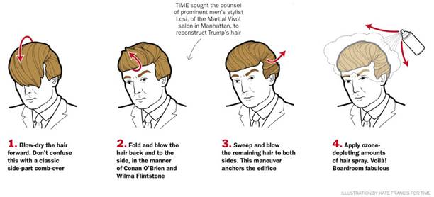 donald trump hair do.jpg