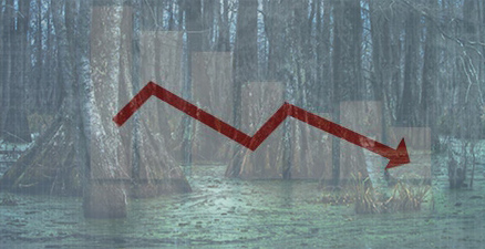 swamp economy