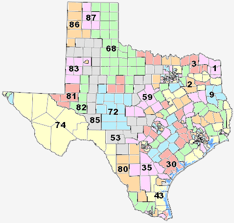redistricting texas map 166.png