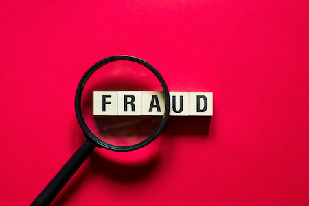 searching for fraud