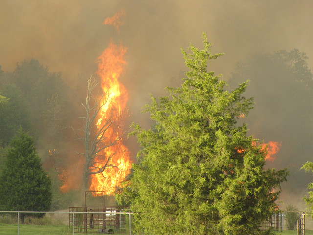 texas-wildfires.jpg