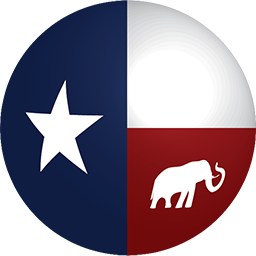 www.texasgopvote.com