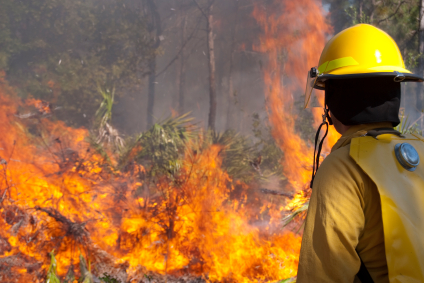 wildfire-texas.jpg